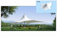 廣饒平臺-東營膜結(jié)構(gòu)